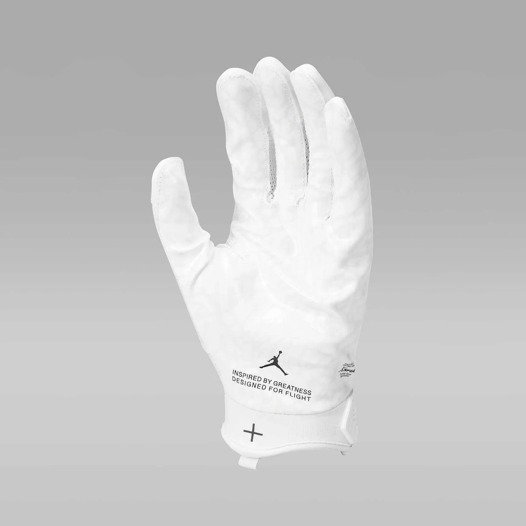 Nike Jordan Fly Lock