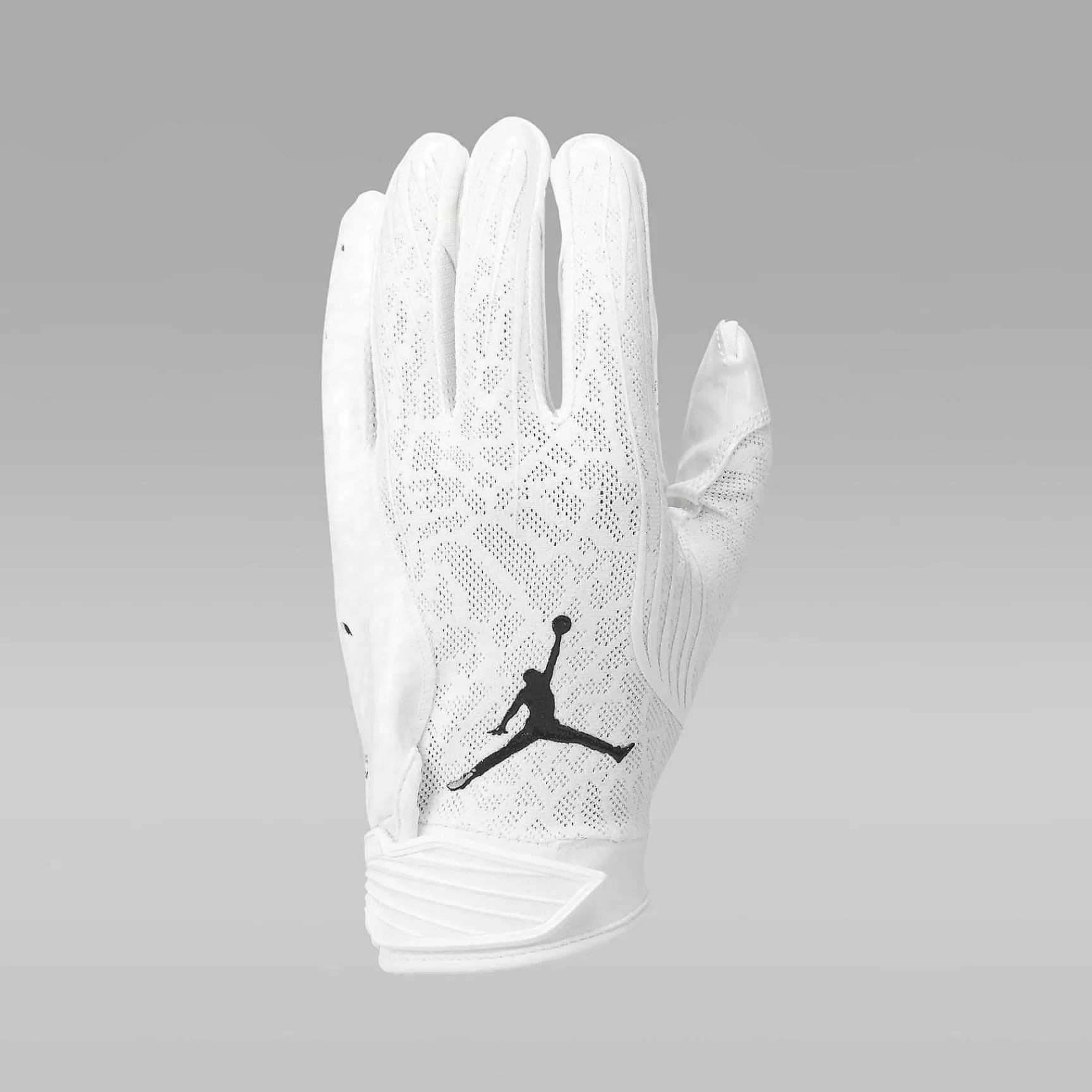 Nike Jordan Fly Lock