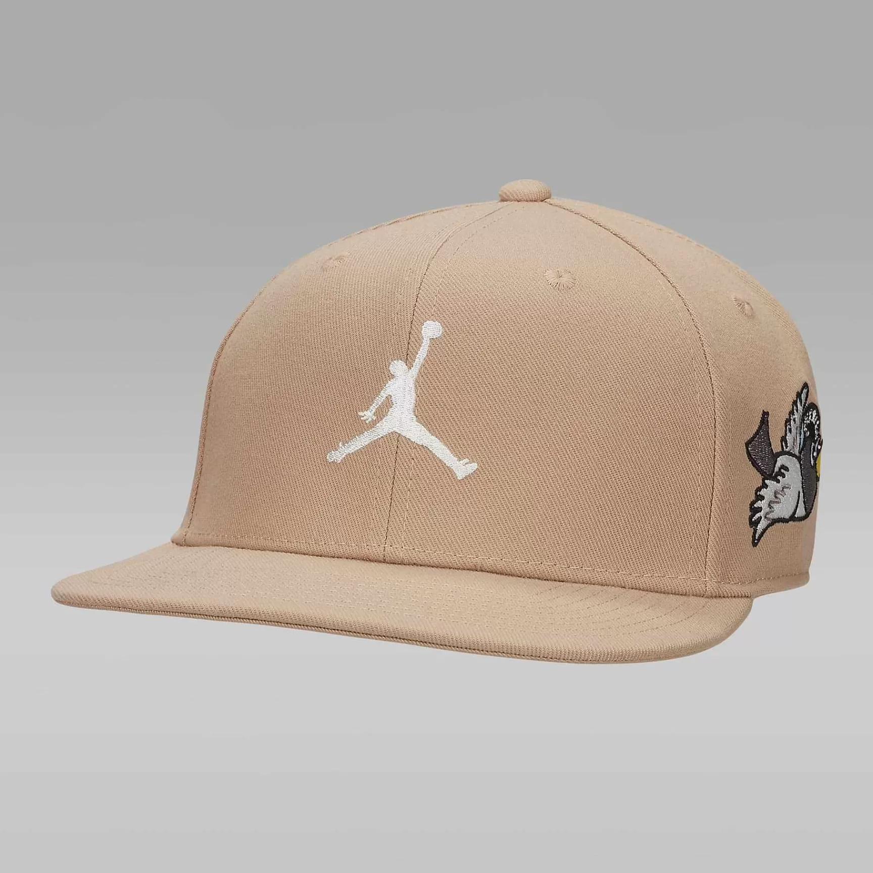 Nike Jordan Pro Cap