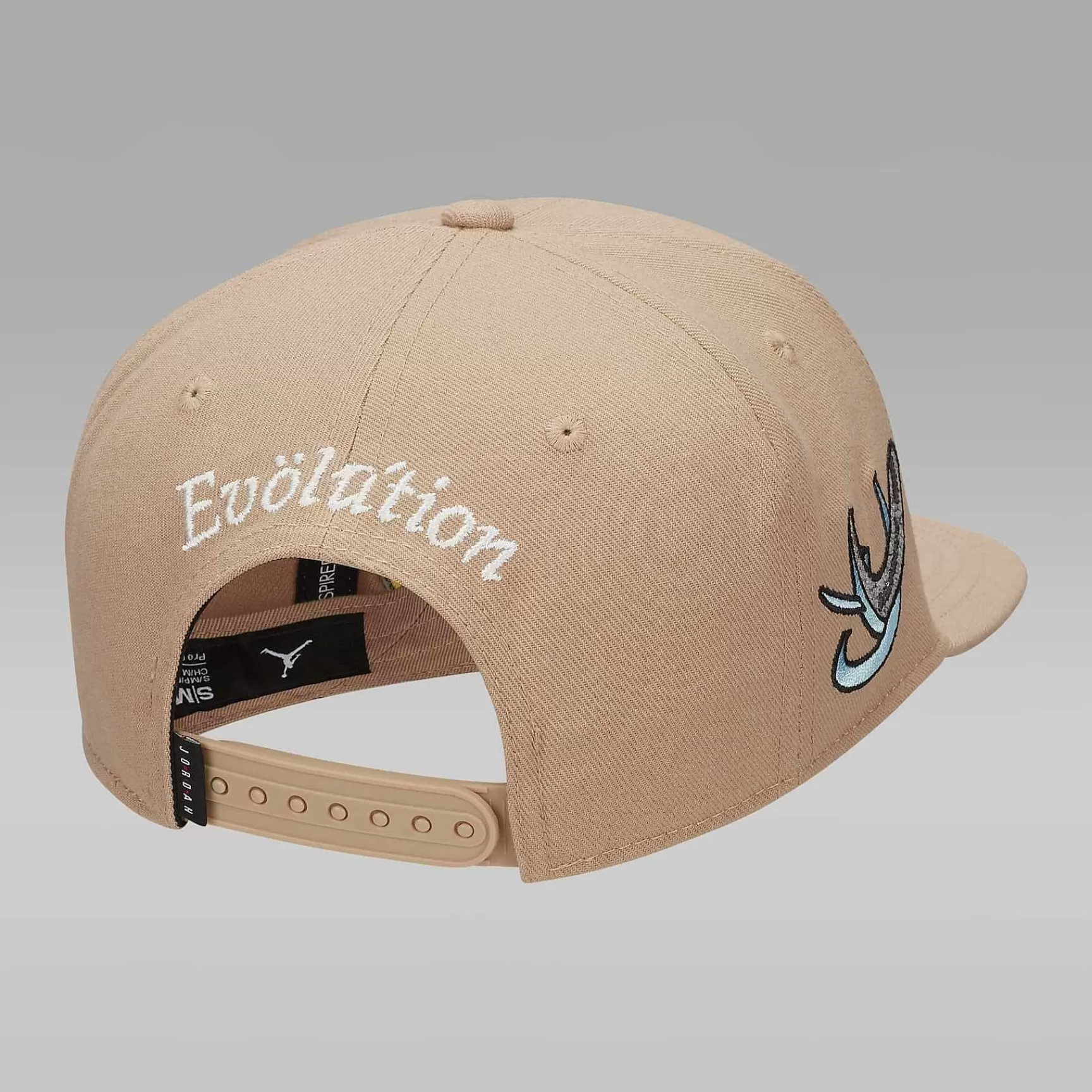 Nike Jordan Pro Cap