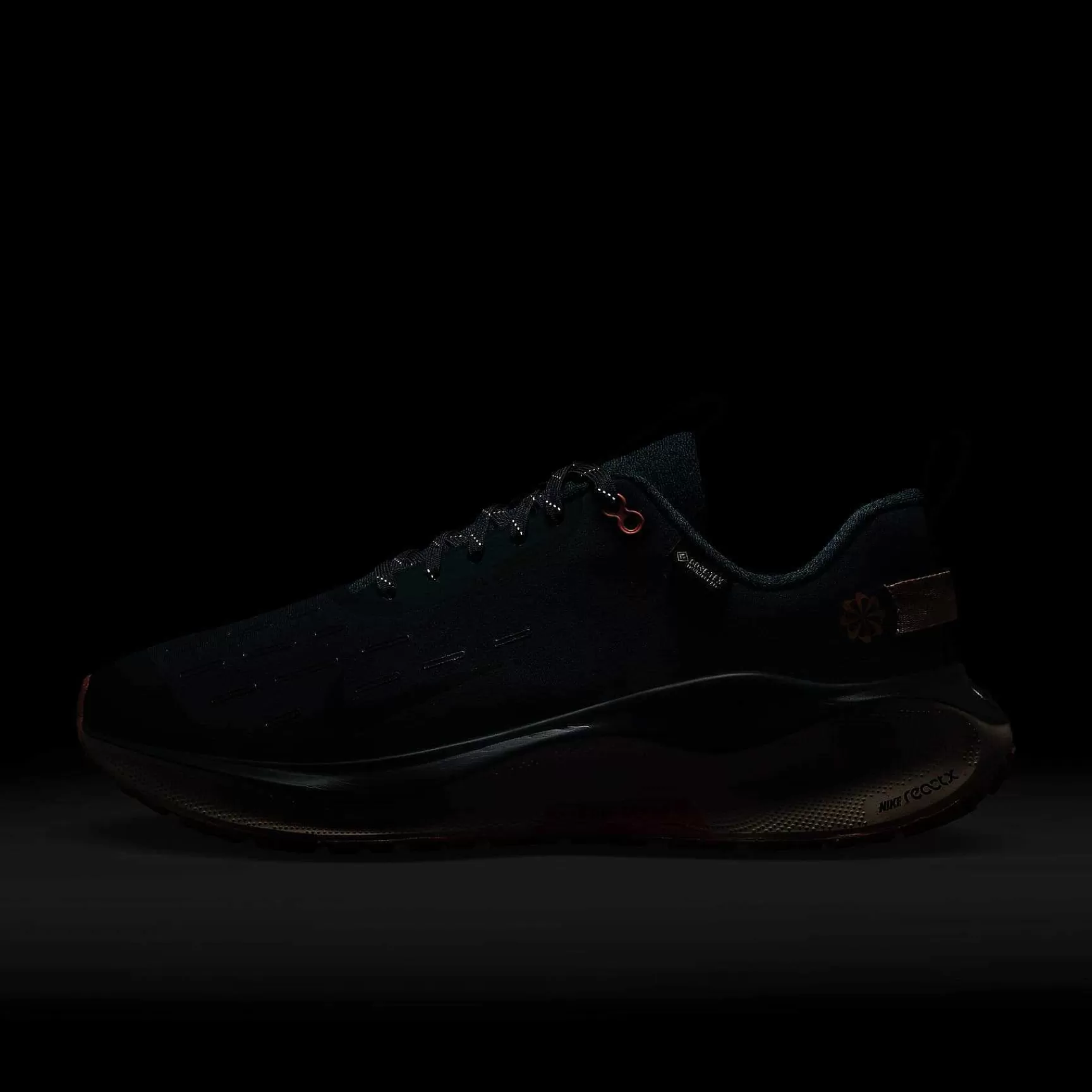 Running-Nike Running Infinityrn 4 Gore-Tex