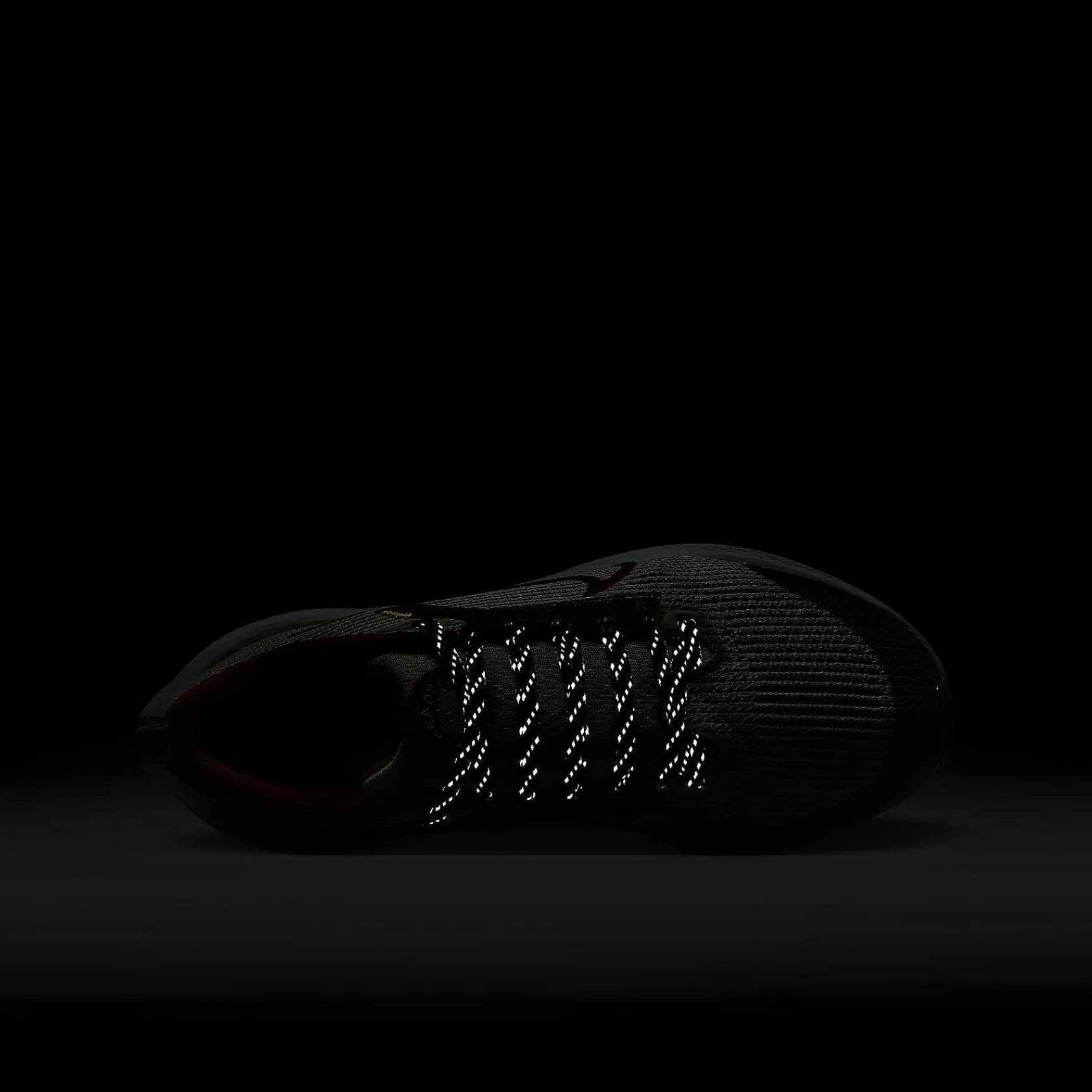 Running-Nike Running Pegasus 40